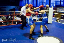 Elbląski Tygrys \"kąsa\" już 20 lat (boks)