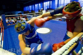 Elbląski Tygrys \"kąsa\" już 20 lat (boks)