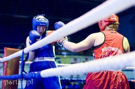 Elbląski Tygrys \"kąsa\" już 20 lat (boks)