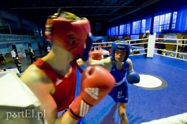 Elbląski Tygrys \"kąsa\" już 20 lat (boks)