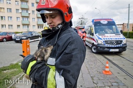 Pożar w mieszkaniu przy Królewieckiej
