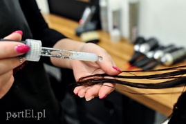 Czwarty tydzień Metamorfozy