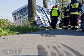  Autobus uderzył w drzewo. Są ranni zdjęcie nr 126892