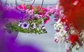 Pokaż mamie, że jest ważna