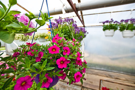 Pokaż mamie, że jest ważna