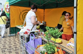 Można powiedzieć, że śmieci zakwitły