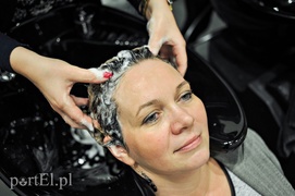 Siódmy tydzień Metamorfozy