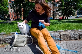 Czołg jak ... wydziergany