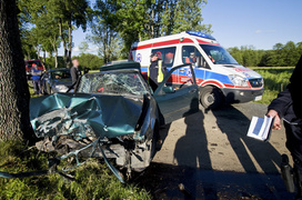 Bmw uderzyło w drzewo, kierowca w szpitalu