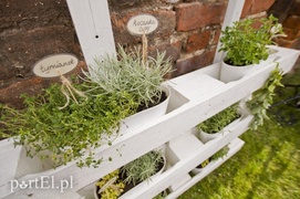 Seniorzy będą w centrum wydarzeń