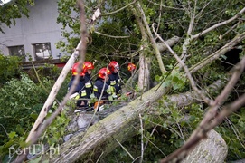 Wichura dała się we znaki