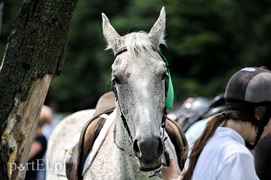 Piastowiada na medal