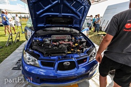 WRC na polu golfowym