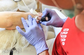 Jedenasty, ostatni tydzień Metamorfozy