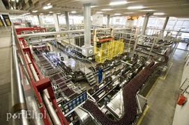 Tak się robi nasze piwo