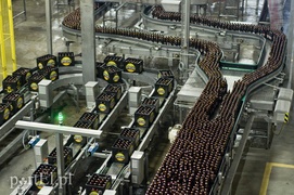 Tak się robi nasze piwo