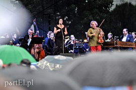 Cygański koncert w deszczu