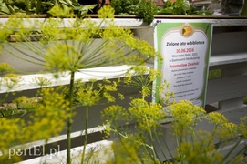 Niezłe ziółko z oliwą, czyli seniorzy rządzą w kuchni