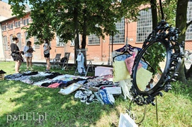 Na trawce przed Galerią