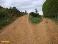 Wędrując Camino, musimy uważnie śledzić znaki, bo łatwo jest zboczyć ze szlaku.