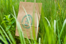 Niech Twój świat zrobi się zielony