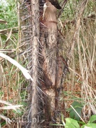 Sam sobie sterem, żeglarzem, okrętem  (Podróże małe i duże, odc. 2) 