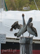 Sam sobie sterem, żeglarzem, okrętem  (Podróże małe i duże, odc. 2) 