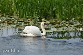 Nuda, nic się nie dzieje. I dobrze