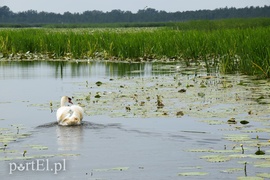 Nuda, nic się nie dzieje. I dobrze
