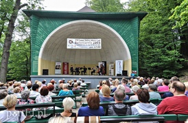 Leśny koncert na klarnet