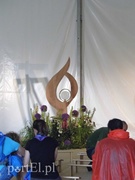 Czekają na papieża