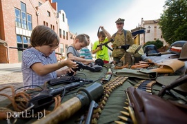 „A na Tygrysy mają Visy”