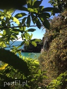 Jej domem jest cały świat  (Podróże małe i duże, odc. 6) 