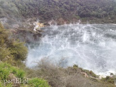 Jej domem jest cały świat  (Podróże małe i duże, odc. 6) 