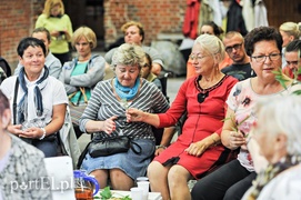 Łąka w szklance i na talerzu