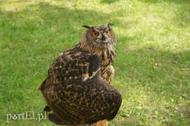 Pasłęk zaprosił w czasy średniowiecza