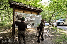 Informacja poszła w las