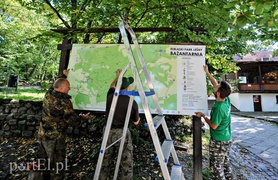 Informacja poszła w las