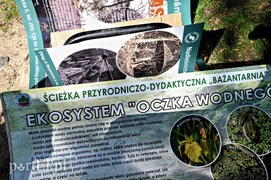 Informacja poszła w las