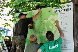 Informacja poszła w las