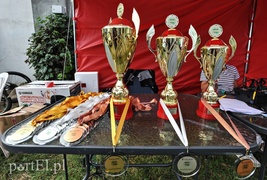 Smoki opanowały rzekę Elbląg