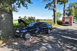 19-latka w audi uderzyła w drzewo