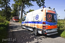 19-latka w audi uderzyła w drzewo