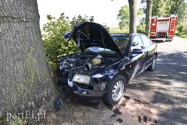 19-latka w audi uderzyła w drzewo