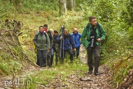 Wilk nie jest ani dobry, ani zły