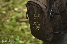 Wilk nie jest ani dobry, ani zły