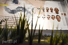 Goci powrócili Goci powrócili