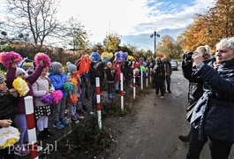 Zjazd linowy hitem „Mrówkolandii”