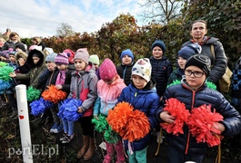 Zjazd linowy hitem „Mrówkolandii”