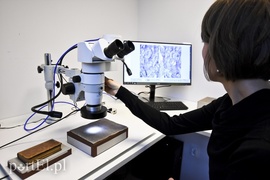 Przeszłość pod mikroskopem Przeszłość pod mikroskopem